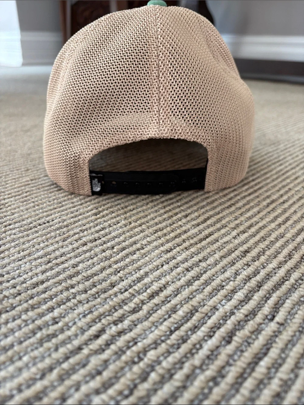 The North Face Green and Tan Trucker Hat with Front Patch